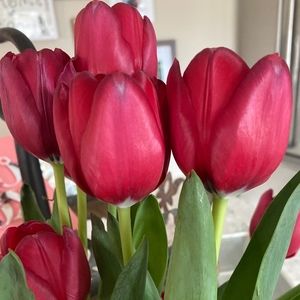 Meet your Posher, Tina